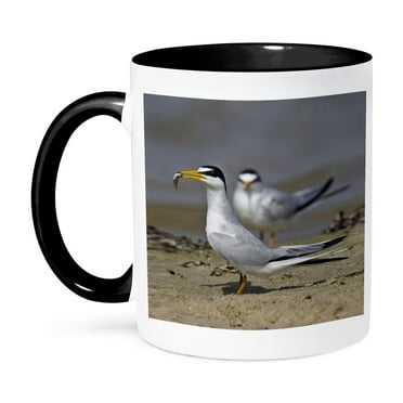 3dRose, Least Tern bird with fish, Galveston, Texas, USA - US44 LDI0579 - Larry Ditto, 11oz Two-Tone Black Mug