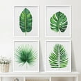 thumbnail image 2 of PixonSign Framed Tropical Island Banana Palm Leaf Wall Art, Set of 4 Nature Wilderness Wall Decor Prints, Botanical Floral Leaves Wall Décor, Home Artwork for Office, Bedroom - 8"x10" White, 2 of 5