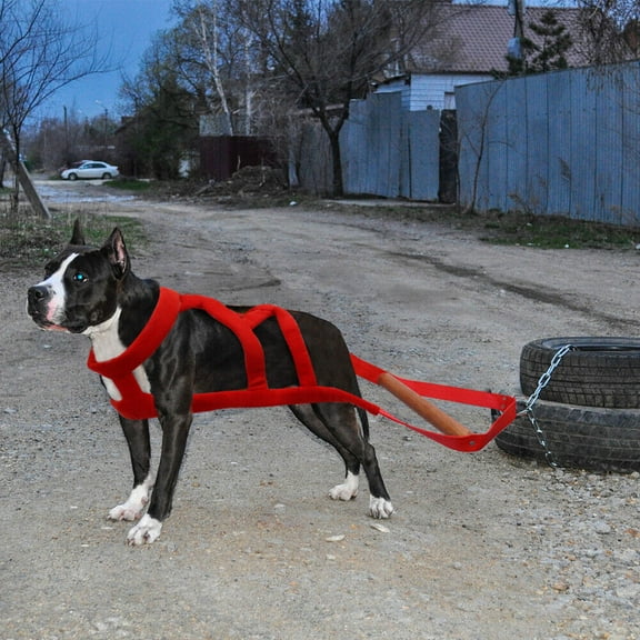 Pet Artist Dog Weight Pulling Harness Heavy Duty Training Large Dogs No Pull Pitbull Husky