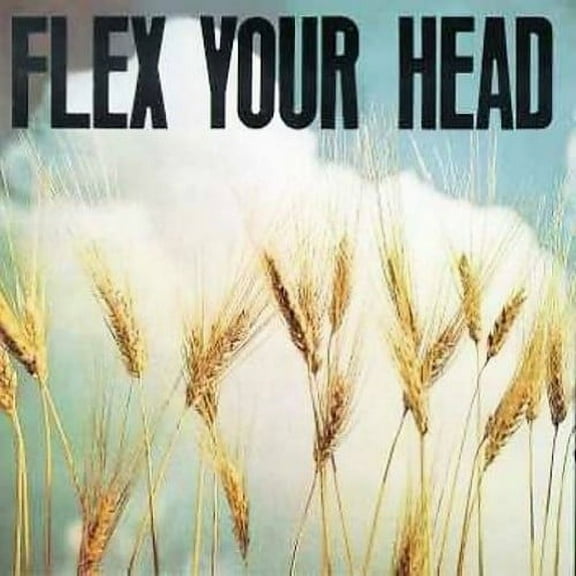 Various Artists - Flex Your Head - Punk Rock - Vinyl