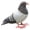 Style 1, variant on vlrwzc Pigeon Statue Animal Figurine Artwork Craft Realistic Dove Sculpture Garden Statues For Party Landscape Hallway Yard Balcony