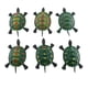 thumbnail image 5 of 3x Juguetes para Bebés en Edad Preescolar, Juguetes para Tirar de La Cuerda, Tortugas Gateando, Juguetes de Animales Pequeños 3 piezas, 5 of 8