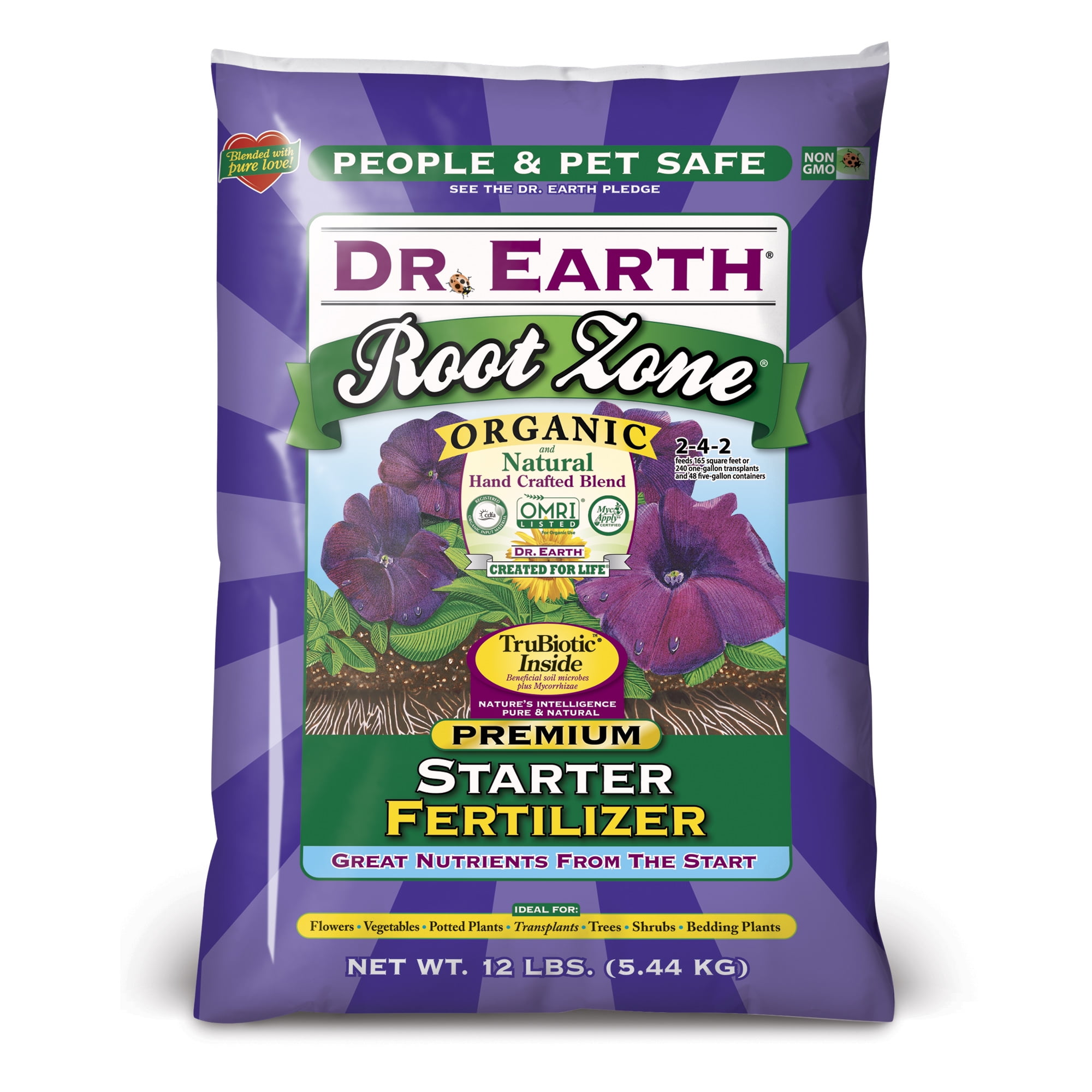 dr zoom earth 2