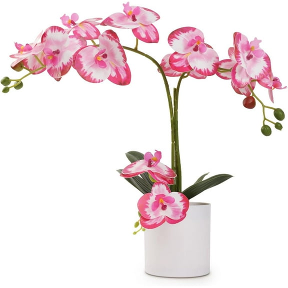 Fake Orchid Butterfly Orchid Bonsai 15 Inch Artificial Flowers Realistic Plastic Flower Fake Flowers for Home Table and Cabinet Decoration Party and Wedding Decor Flowers Artificial Orchid