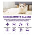 thumbnail image 3 of Collares Antiestrés Zyy Para Gatos, 3 Unidades, Feromonas, 3 of 7