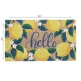 thumbnail image 3 of Maison Concepts Coir Door Mat Hello Lemon (18L X 30W X 1H), 3 of 3