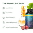 thumbnail image 4 of Primal Harvest Vision Eye Support Pills, Antioxidants for Vision & Eye Health, Vitamin E, Lutein, Zeaxanthin, 60 Count, 4 of 9