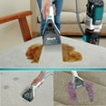 thumbnail image 5 of Shark CarpetXpert Deep Clean Pro Formula, 48 Oz, EXCM48C Garden Walk scent, 5 of 5