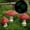red, variant on Dark Accessories Micro Glow Statue In The Mushroom Mushroom Decor For Garden Garden Desktop Ornament Red