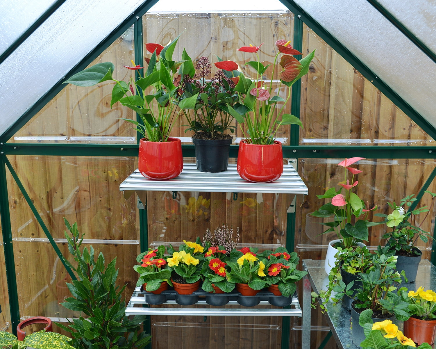 Palram - Canopia Hybrid 6' x 4' Polycarbonate/Aluminum Walk-In Greenhouse – Green - with Roof Vent