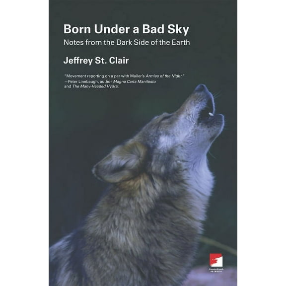 Counterpunch: Born Under a Bad Sky: Notes from the Dark Side of the Earth (Paperback)