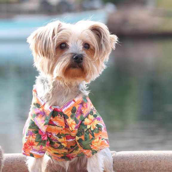 Hawaiian Camp Shirt by Doggie Design - Sunset Hibiscus - Medium