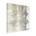 thumbnail image 4 of Chris Paschke 'Gray Circles Ii' Canvas Art, 4 of 4