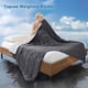thumbnail image 2 of Manta con Peso Topcee 9 kg Queen 152x203 cm Refrigerante, 2 of 7
