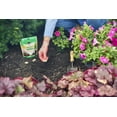 thumbnail image 3 of Miracle-Gro Quick Start Planting Tablets, Contains 20 No-Mess Tablets, 3 of 8