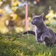 thumbnail image 5 of Teaser para Gato, juguete interactivo, pelota de felpa, tira Multicolor con campana, 2 uds., 5 of 5
