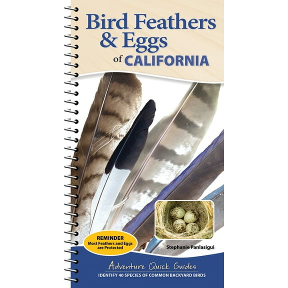 Adventure Quick Guides Bird Feathers & Eggs of California: Identify 40 Species of Common Backyard Birds, (Spiral-Bound)