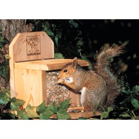 Belle Fleur Adirondack Chair Squirrel Feeder 9 6 In X 9 5 In X
