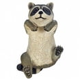 thumbnail image 1 of SWM 10018097 Cuties Grimpantes Copain Raton Laveur, 1 of 3