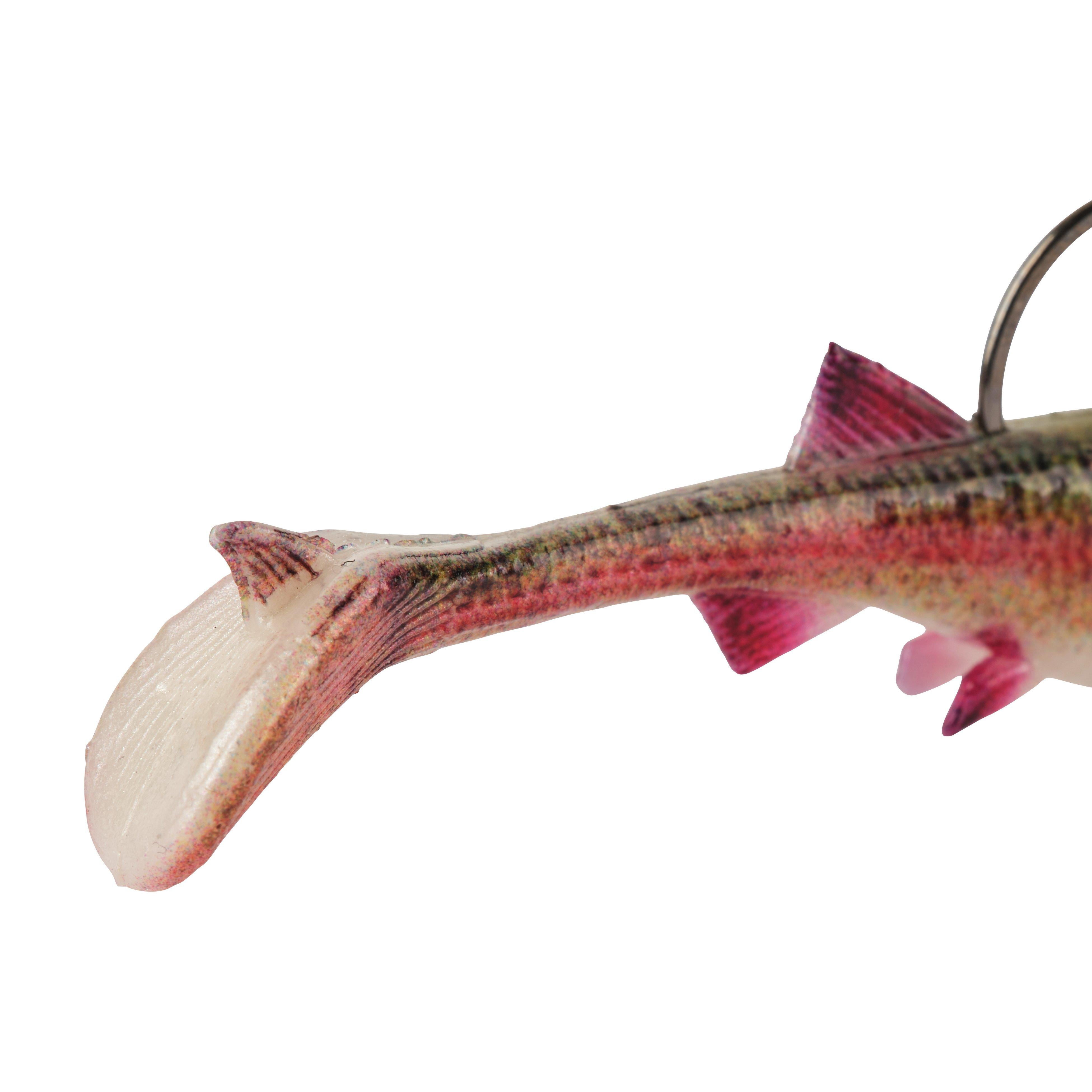 Berkley PowerBait® Minnotator, 3 in, HD Rainbow Trout