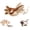 Sparrow, variant on Interactive Cat Toy, 2026 New Flying Bird with Flapping Wings, Realistic Chirping Sound, Plush Toy for Indoor Cats