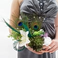 thumbnail image 4 of Zucker Feather Products Feather Floral Pick w/Peacock Eye - 2" x 4" - Natural, 4 of 5