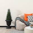 thumbnail image 4 of DR.Planzen 2-Pack 3ft Artificial Cedar Topiary Trees, UV-Resistant Outdoor Potted Plants for Porch & Garden Decor, 4 of 13