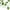 Watermelon Leaf, variant on 12pcs 79 ft Artificial Ivy Leaf Greenery Garland Decor Hanging Leaves Fake Vines Plants for Party Home Office Wedding Garden Wall Indoor Outdoor Greenery Decor, Green