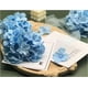 thumbnail image 4 of Cabezas de hortensias Artificiales, Flores de imitación de Seda Azul con Tallos Desmontables para la decoración del hogar del Ramo de la Boda, 4 of 4