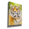 thumbnail image 2 of Epic Graffiti 'Sumatran Tiger' by Barbara Keith, Canvas Wall Art, 18"x26", 2 of 2