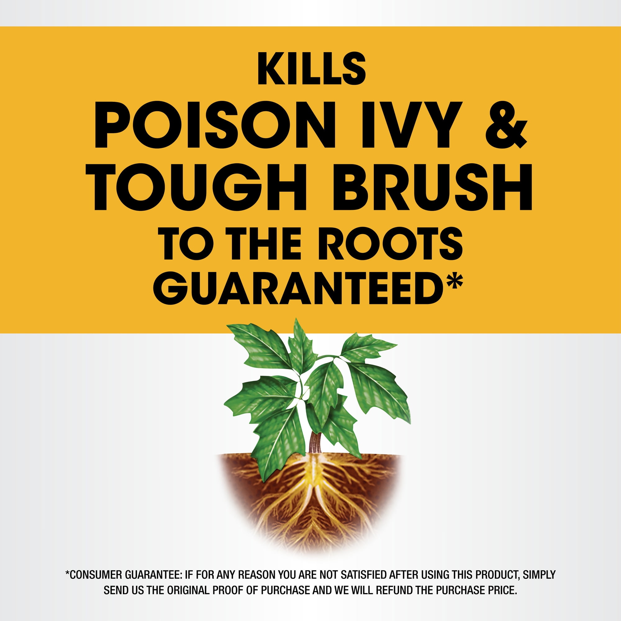 Roundup Concentrate Poison Ivy Plus Tough Brush Killer, 32 oz. - 1