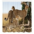 thumbnail image 3 of Ambesonne Wildlife Shower Curtain, Savannah Animal Cheetahs, 69"Wx84"L, Black Tan, 3 of 5