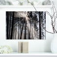 thumbnail image 1 of Design Art - Sunbeams through Black White Forest, 1 of 3