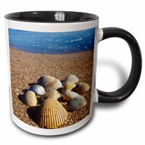3drose, Seashells, Jacksonville, St. Johns River, Florida - Us10 Gjo0234 - Greg Johnston, 15oz Two-tone Black Mug