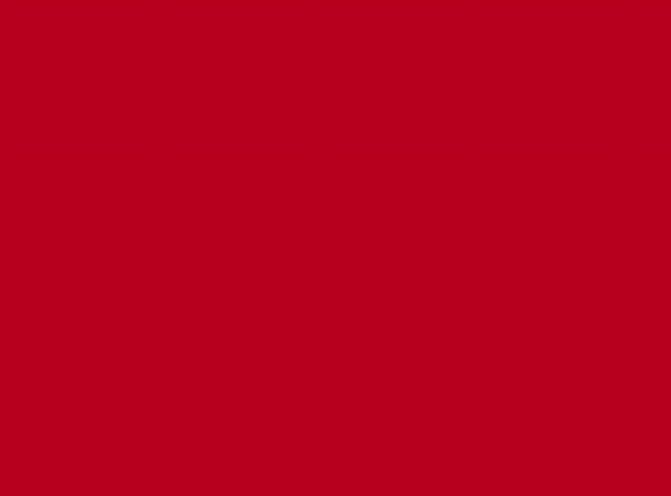 (2 pack) Cricut Iron-On (2 ft), Raspberry, 12 x24, Roll