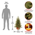 thumbnail image 5 of National Tree Company Pre-Lit Feel Real Artificial Mini Christmas Tree, Green, Nordic Spruce, Warm White Lights, LED, Battery Operated, Timer, Includes Burlap Bag Base, 3 Feet, 5 of 5
