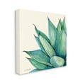 thumbnail image 3 of Stupell Green Aloe Plant Succulent Botanical & Floral Painting Gallery Wrapped Canvas Print Wall Art, 3 of 7