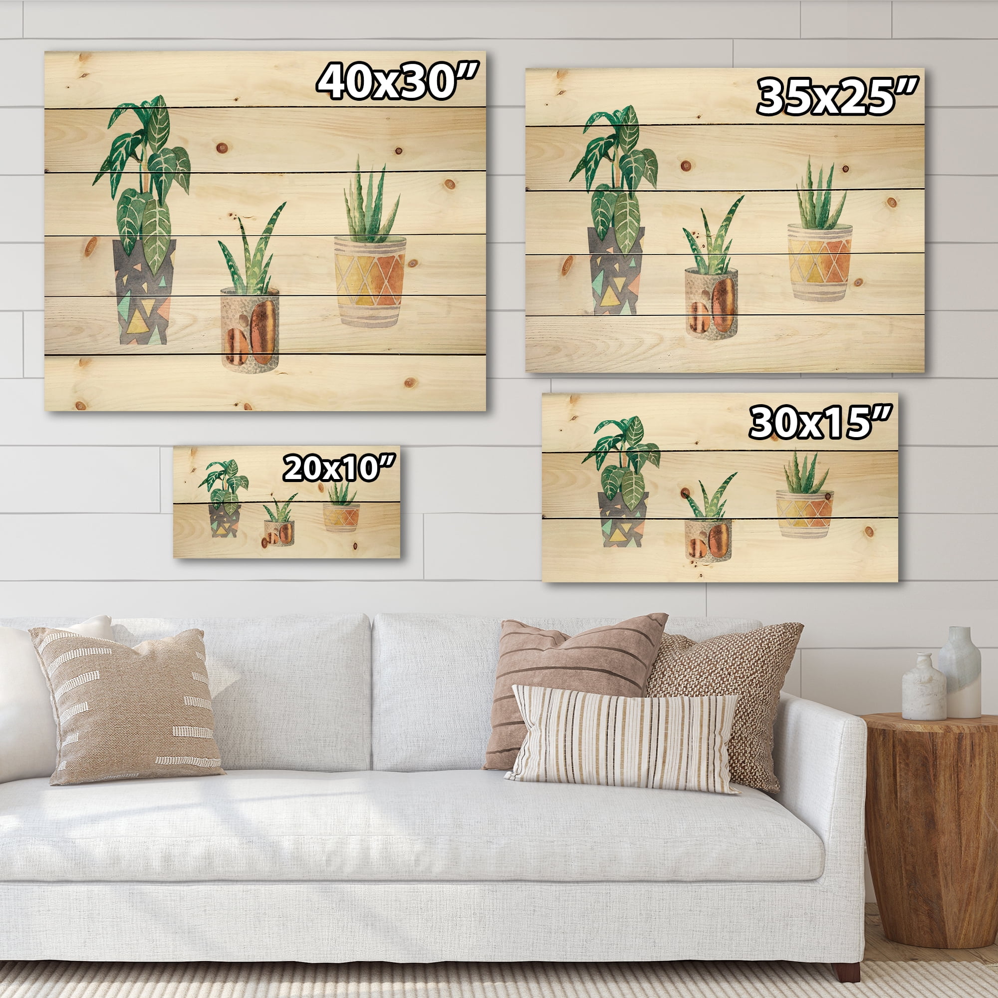 Designart 'Three Potted Houseplants On White' Traditional Print on Natural Pine Wood