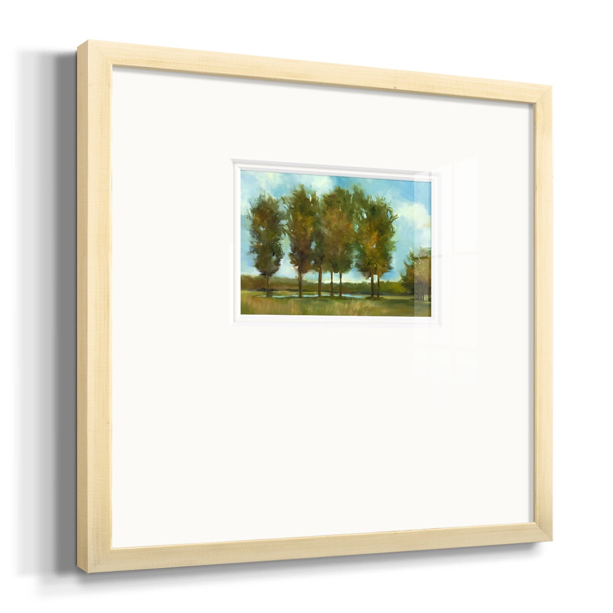 Tall Trees Premium Framed Print