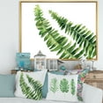 thumbnail image 2 of Designart 'Fern Plant Leaves Detail I' Farmhouse Framed Canvas Wall Art Print, 2 of 5