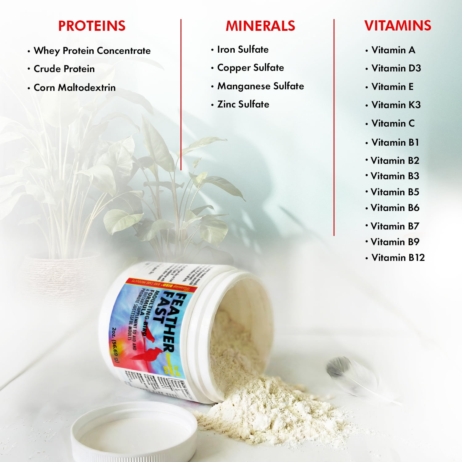Morning Bird Feather Fast 4.5 oz – Daily Multi-Vitamin During Molt - Molting Support Supplement for Birds–Amino Acid & Vitamin Powder Promotes Feather Growth, Strength, and Full Plumage for All Birds