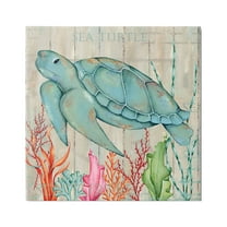 Stupell Industries Rustic Sea Turtle Animal Animals & Insects Painting Gallery Wrapped Canvas Print Wall Art, 36 x 36