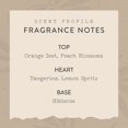 thumbnail image 4 of Fragrance Mist ESSENTIALS ¡Buenos días! 60 ml, vegano, no tóxico, 4 of 6