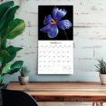 thumbnail image 5 of In the Garden 2026 12 X 24 Inch (Hanging) Monthly Square Wall Calendar Plastic-Free, (Paperback), 5 of 9