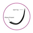 thumbnail image 3 of Signature Ellipse Flat Lashes - Matte Finish, 3 of 5