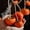 Red Orange, variant on Artificial Persimmon Fruit String Decor 33.8" Long