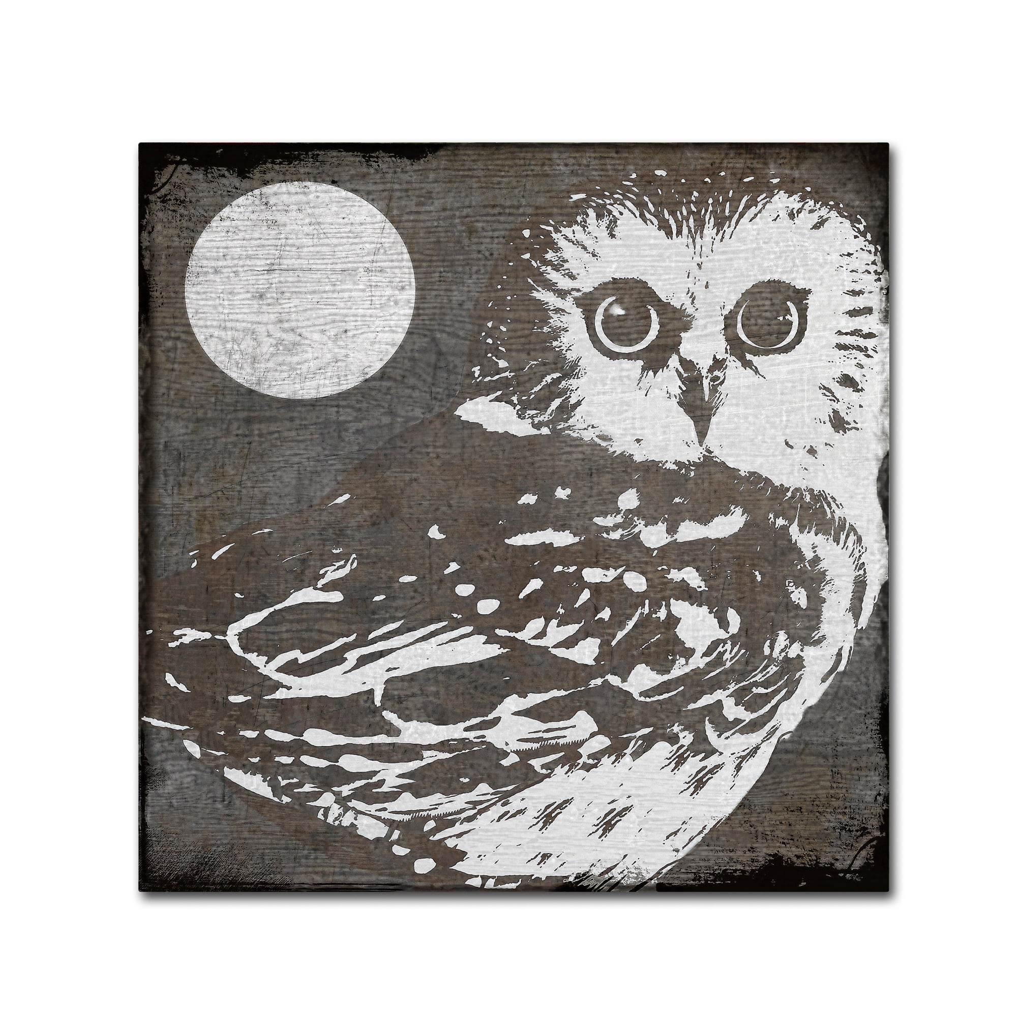 Trademark Fine Art "Owl 3" Canvas Art by Color Bakery