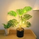 thumbnail image 4 of Luces LED de ramitas - Luz nocturna blanca cálida alimentada por USB • 30 LED • IP44 impermeable • Decoración artificial para plantas de 45-50cm, 4 of 7