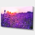 thumbnail image 2 of Summer Sunset over Lavender Field - Floral Canvas Art Print, 2 of 3