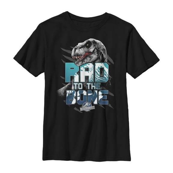 Boy's Jurassic World Rad to the Bone  Graphic Tee Black X Large